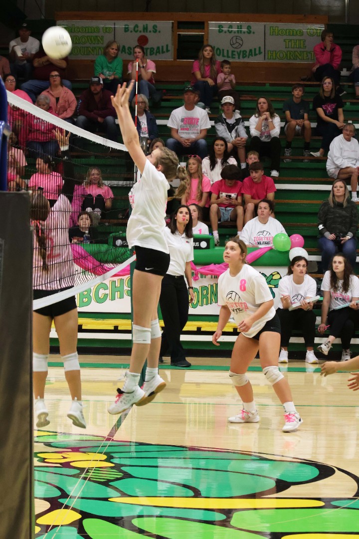 volleyball player jumping for the ball